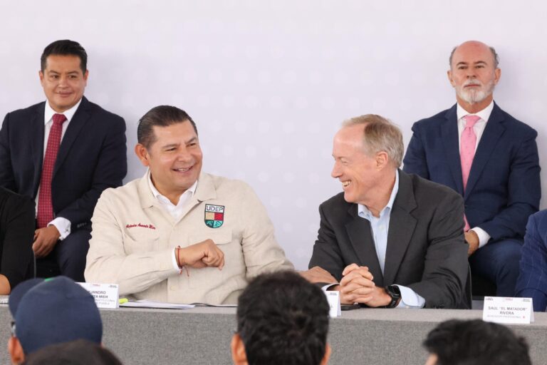 WhatsApp Image 2025-08-14 at 2.55.38 PM