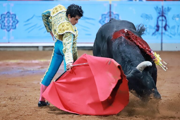 WhatsApp Image 2025-08-15 at 12.37.41 PM