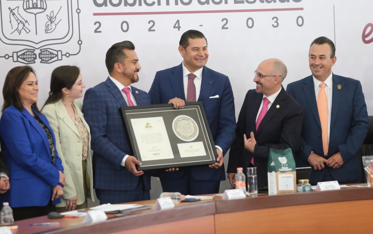 WhatsApp Image 2025-09-09 at 12.16.51 PM