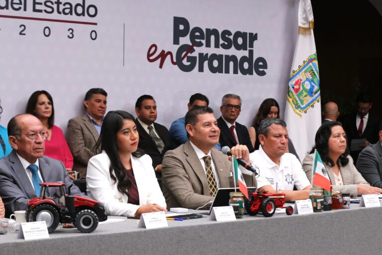 WhatsApp Image 2025-09-15 at 12.55.33 PM