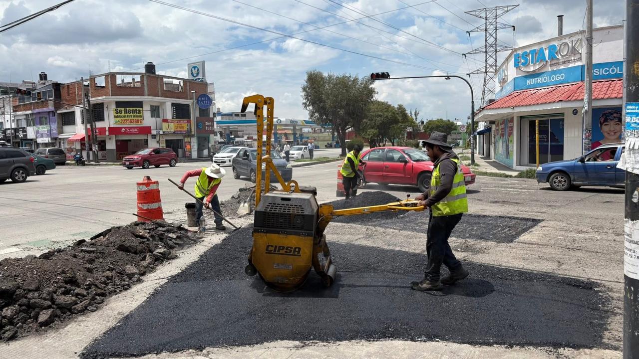 WhatsApp Image 2025-09-15 at 9.37.01 AM