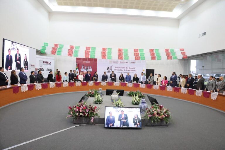 WhatsApp Image 2025-09-19 at 11.08.47 AM