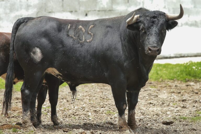 WhatsApp Image 2025-09-27 at 10.40.15 AM