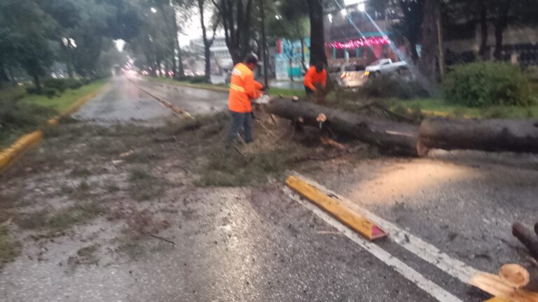 WhatsApp Image 2025-09-27 at 7.06.59 PM