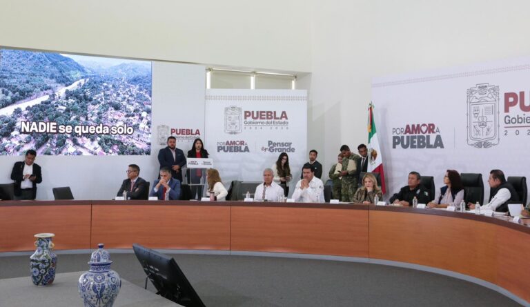 WhatsApp Image 2025-10-13 at 12.52.04 PM