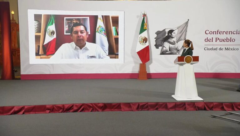 WhatsApp Image 2025-10-17 at 9.10.25 AM