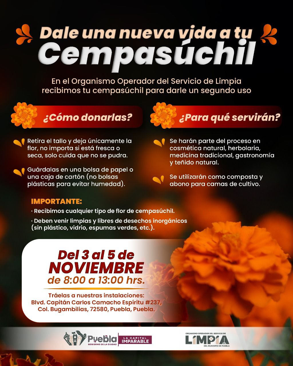 WhatsApp Image 2025-11-03 at 1.37.35 PM