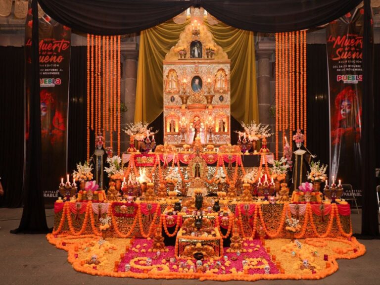 WhatsApp Image 2025-11-04 at 3.31.11 PM