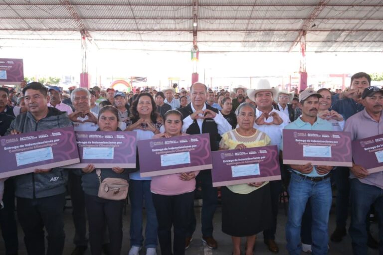 WhatsApp Image 2025-11-07 at 12.52.33 PM