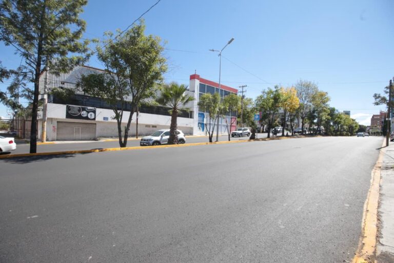 WhatsApp Image 2025-11-10 at 7.58.42 AM