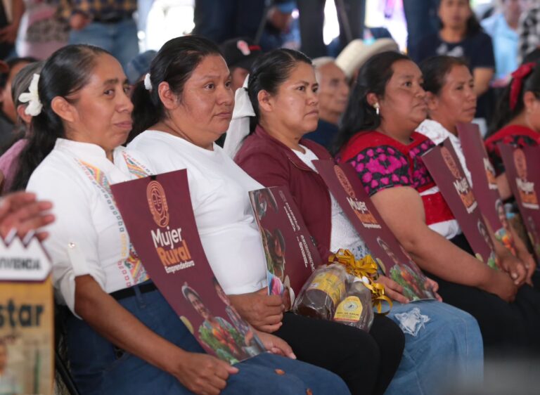 WhatsApp Image 2025-11-12 at 8.11.16 AM