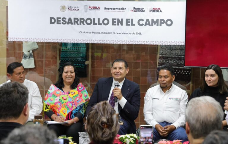 WhatsApp Image 2025-11-19 at 6.31.31 PM