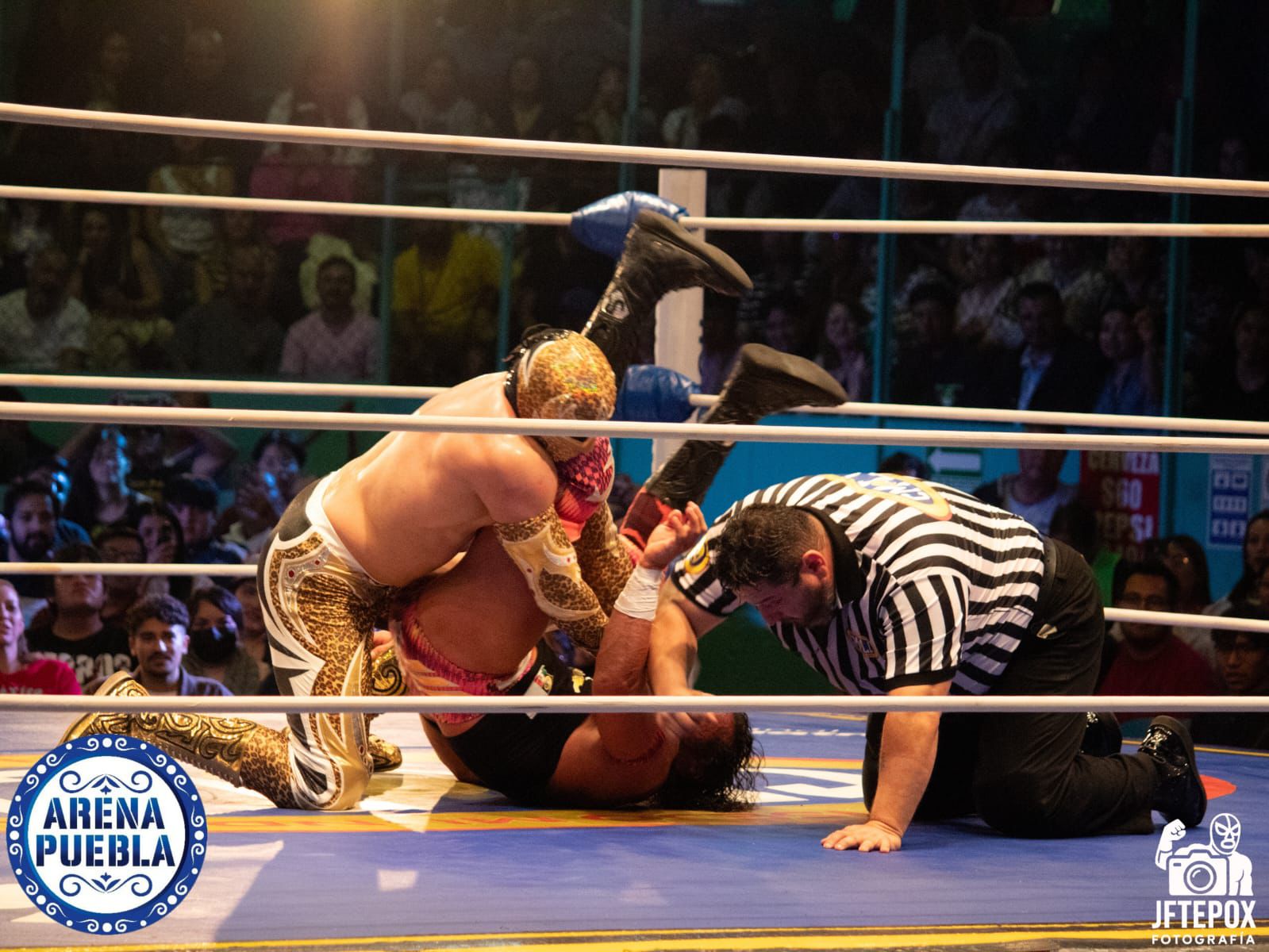 WhatsApp Image 2025-11-19 at 7.19.26 AM