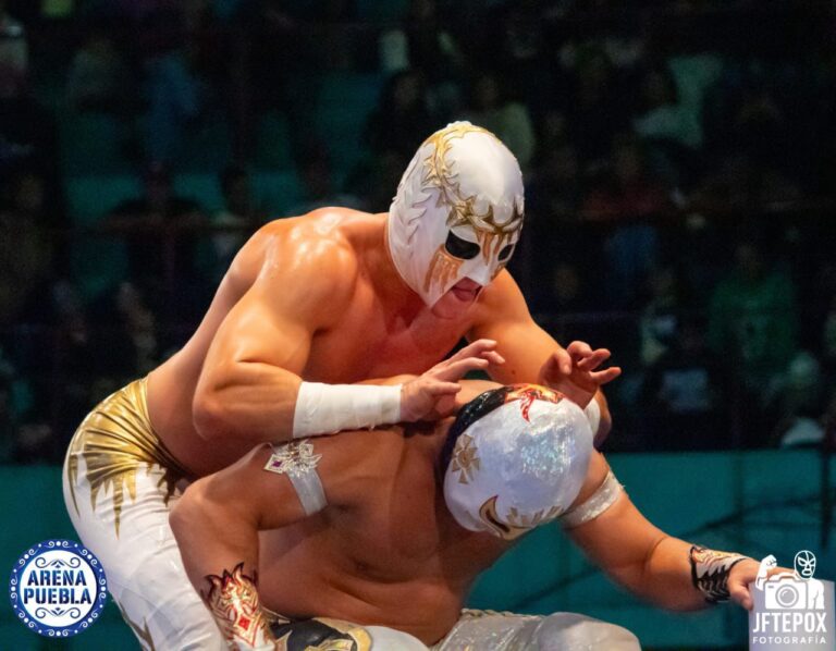 WhatsApp Image 2025-12-16 at 4.11.27 PM