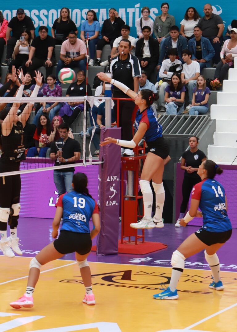 8e3b1422-6118-4368-ab5b-a2684931e98e