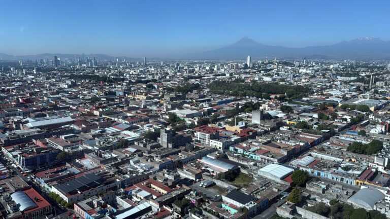 WhatsApp Image 2026-01-02 at 12.32.28 PM (1)