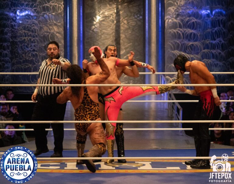 WhatsApp Image 2026-01-13 at 10.47.50 AM