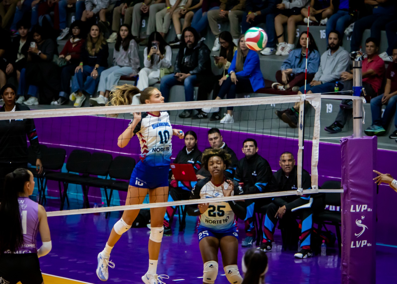 WhatsApp Image 2026-01-17 at 9.15.46 PM