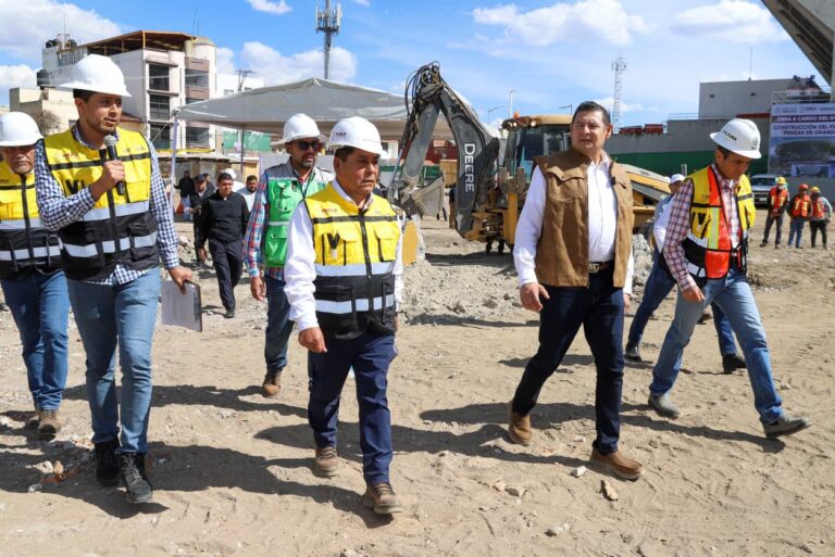 WhatsApp Image 2026-01-23 at 5.03.38 PM