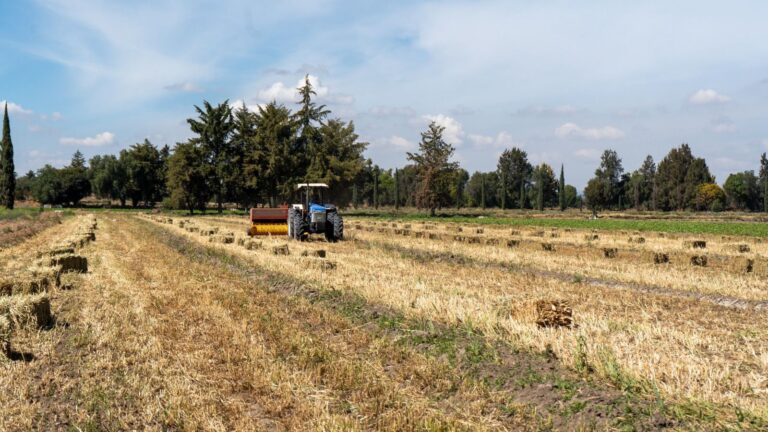 WhatsApp Image 2026-02-02 at 8.00.59 AM