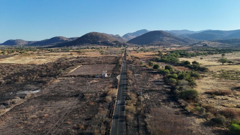 WhatsApp Image 2026-02-05 at 12.13.29 PM