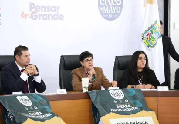 WhatsApp Image 2026-02-09 at 12.51.34 PM