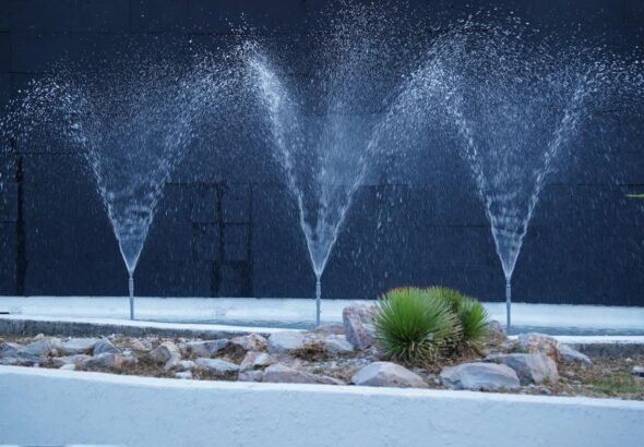 WhatsApp Image 2026-02-09 at 7.02.11 AM