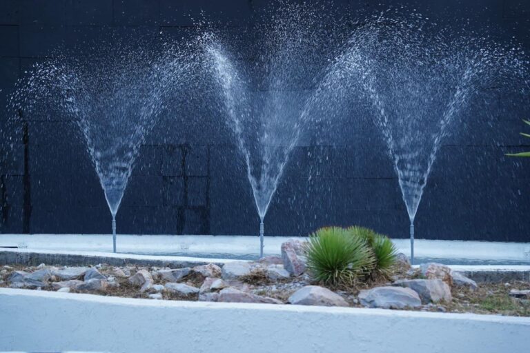 WhatsApp Image 2026-02-09 at 7.02.11 AM