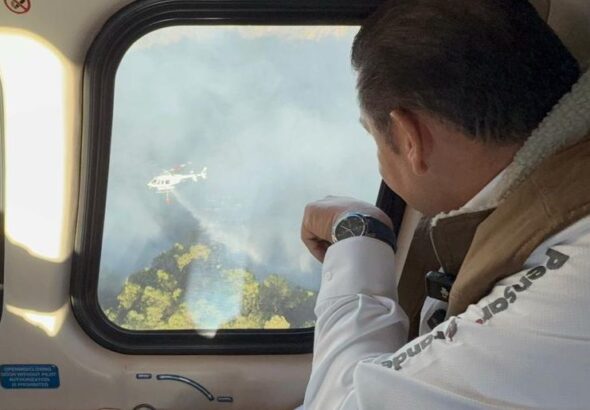 WhatsApp Image 2026-02-11 at 10.25.11 AM