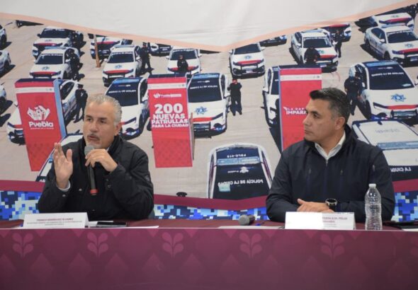 WhatsApp Image 2026-02-11 at 11.44.21 AM