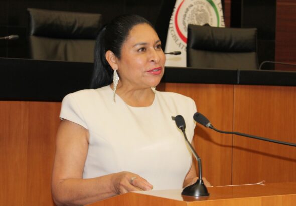 WhatsApp Image 2026-02-11 at 7.32.12 PM