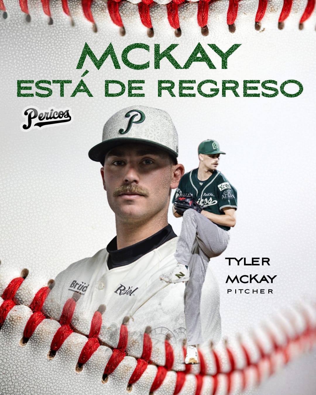 WhatsApp Image 2026-02-12 at 4.58.29 PM