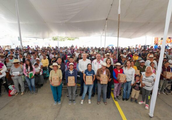 WhatsApp Image 2026-02-12 at 7.00.27 AM