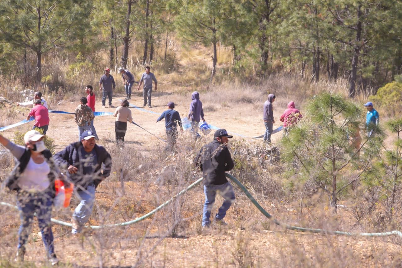 WhatsApp Image 2026-02-12 at 9.27.08 AM (1)