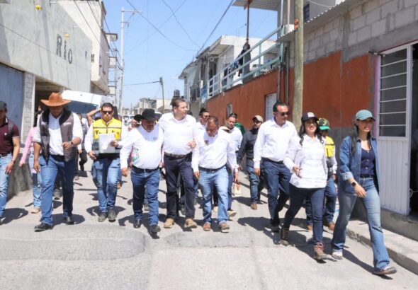 WhatsApp Image 2026-02-13 at 4.55.03 PM