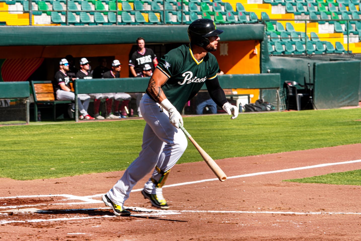 88bbf79e-df41-4cda-a6fd-80936b31000a