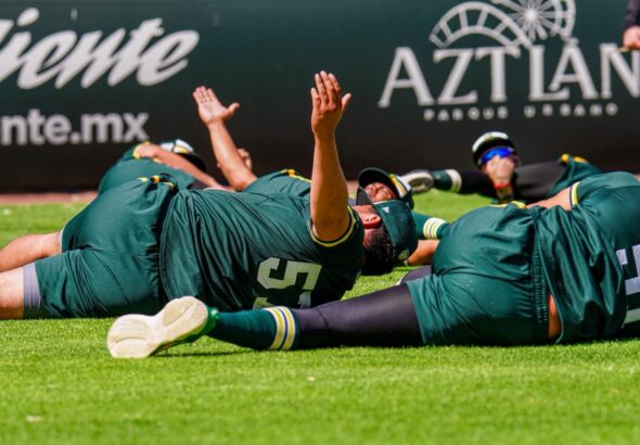 WhatsApp Image 2026-03-03 at 3.34.11 PM (1)