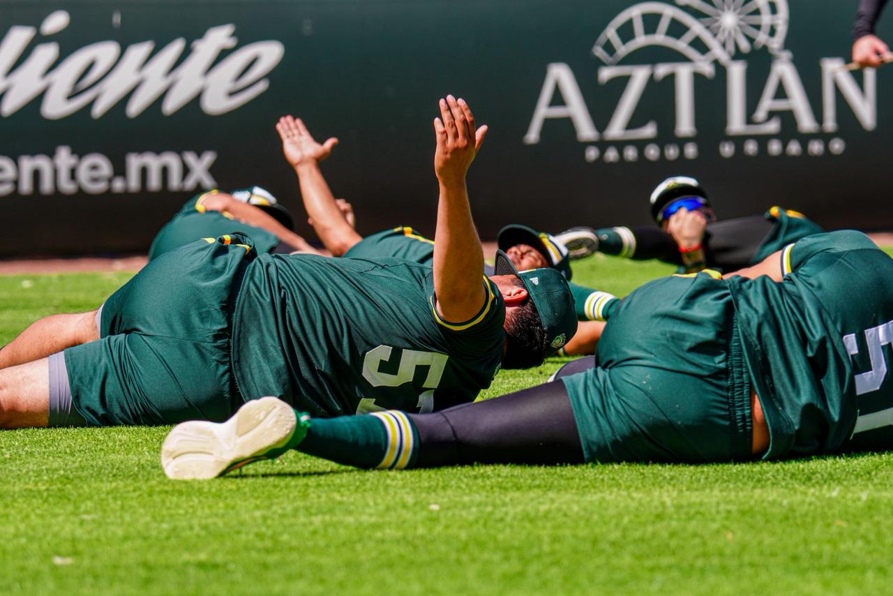 WhatsApp Image 2026-03-03 at 3.34.11 PM (1)