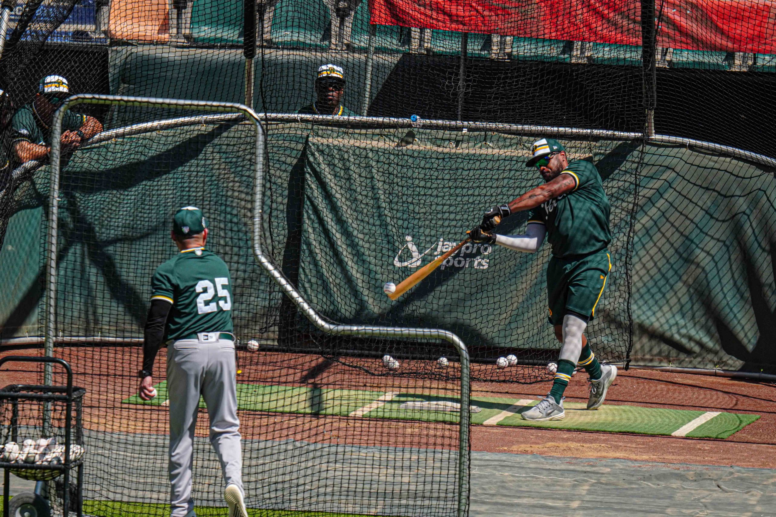 WhatsApp Image 2026-03-04 at 5.10.47 PM