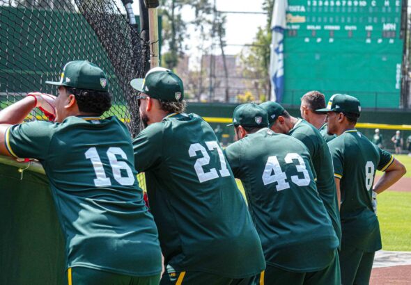 WhatsApp Image 2026-03-05 at 3.54.01 PM