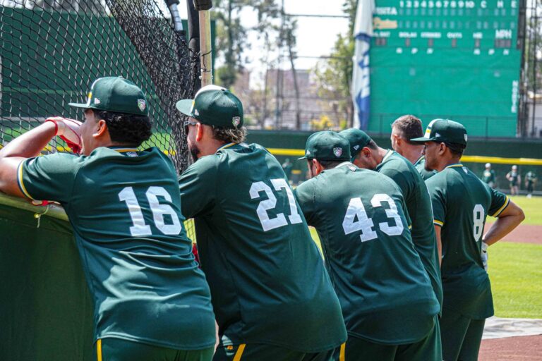 WhatsApp Image 2026-03-05 at 3.54.01 PM