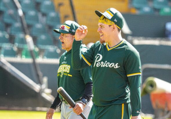 WhatsApp Image 2026-03-18 at 7.51.35 PM