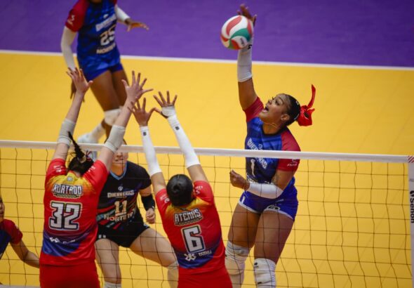 WhatsApp Image 2026-03-28 at 11.49.26 PM