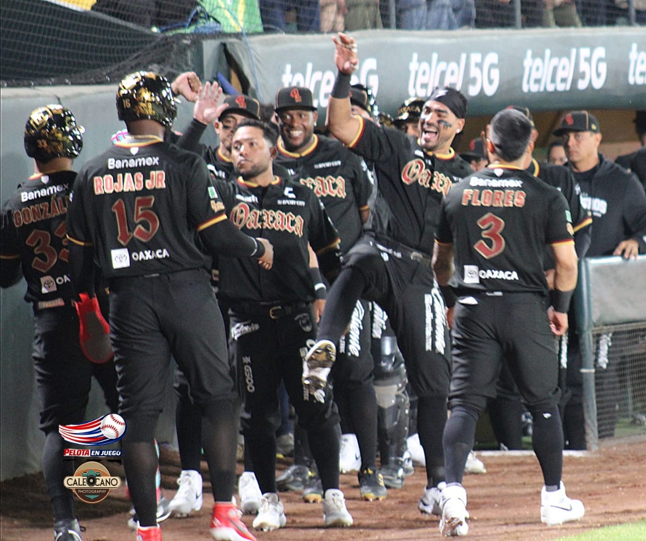 WhatsApp Image 2026-04-17 at 8.17.56 PM