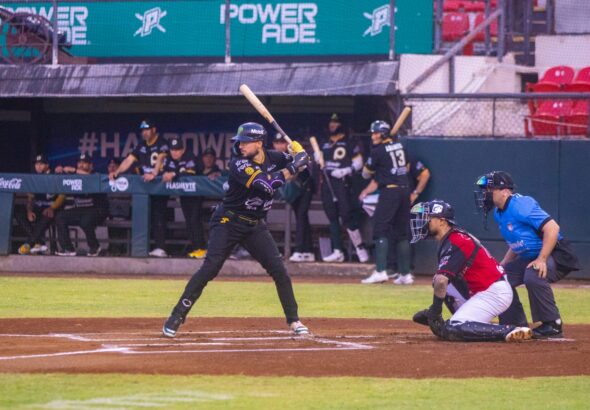 WhatsApp Image 2026-04-25 at 10.08.23 PM