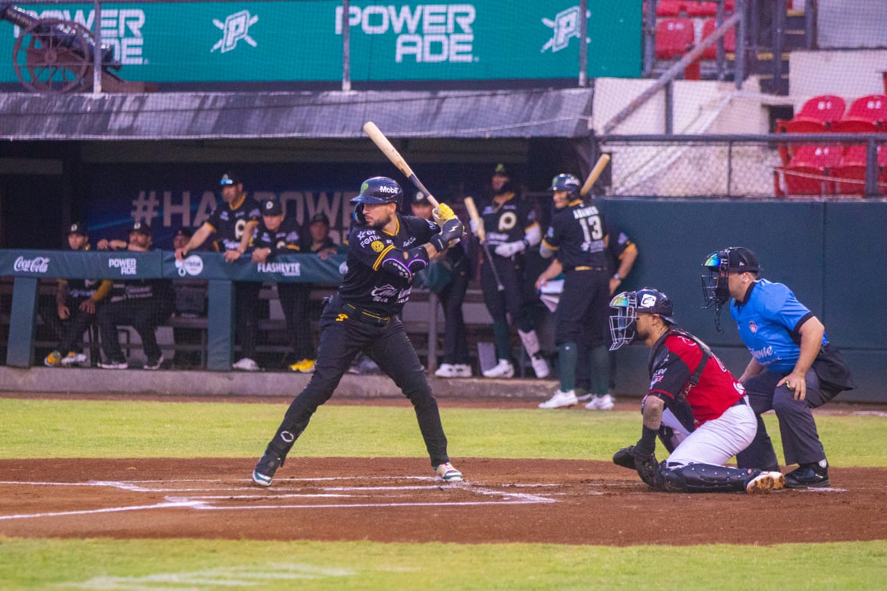 WhatsApp Image 2026-04-25 at 10.08.23 PM