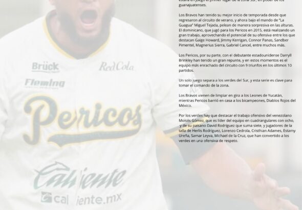 PELOTA AL DIA