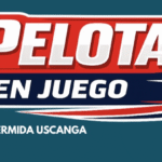 pelota okkkkk